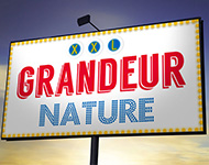 Affichage urbain Affichage urbain