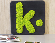 Logo végétal Logo végétal